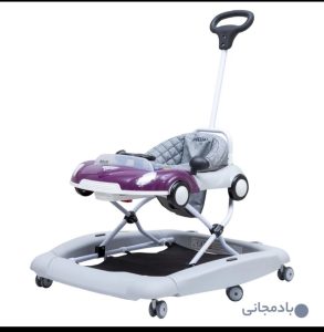 روروئک نوزاد روما دلیجان