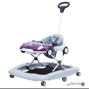 روروئک نوزاد روما دلیجان